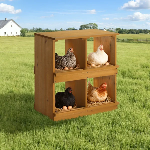 Nesting Boxes for Chickens, Wooden Chicken Nesting Box, Laying Eggs Nest Box for Chickens Hens Ducks, Yellow, 4 Compartments view 5