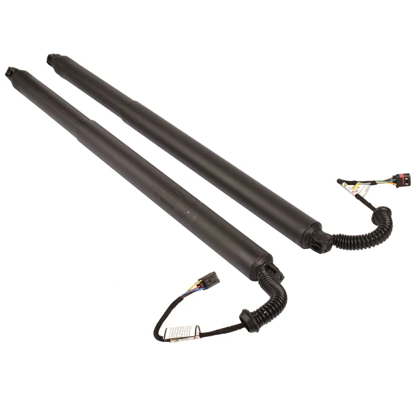2Pcs Rear Left Right Power Lift Gate Cylinder Struts Fit for 2015-2019 Nissan Murano 3.5L view 3