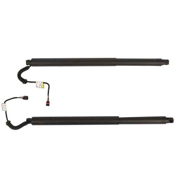 2Pcs Rear Left Right Power Lift Gate Cylinder Struts Fit for 2015-2019 Nissan Murano 3.5L