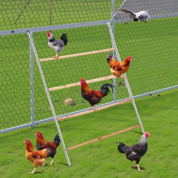 104*143cm Outdoor chicken perch view 6