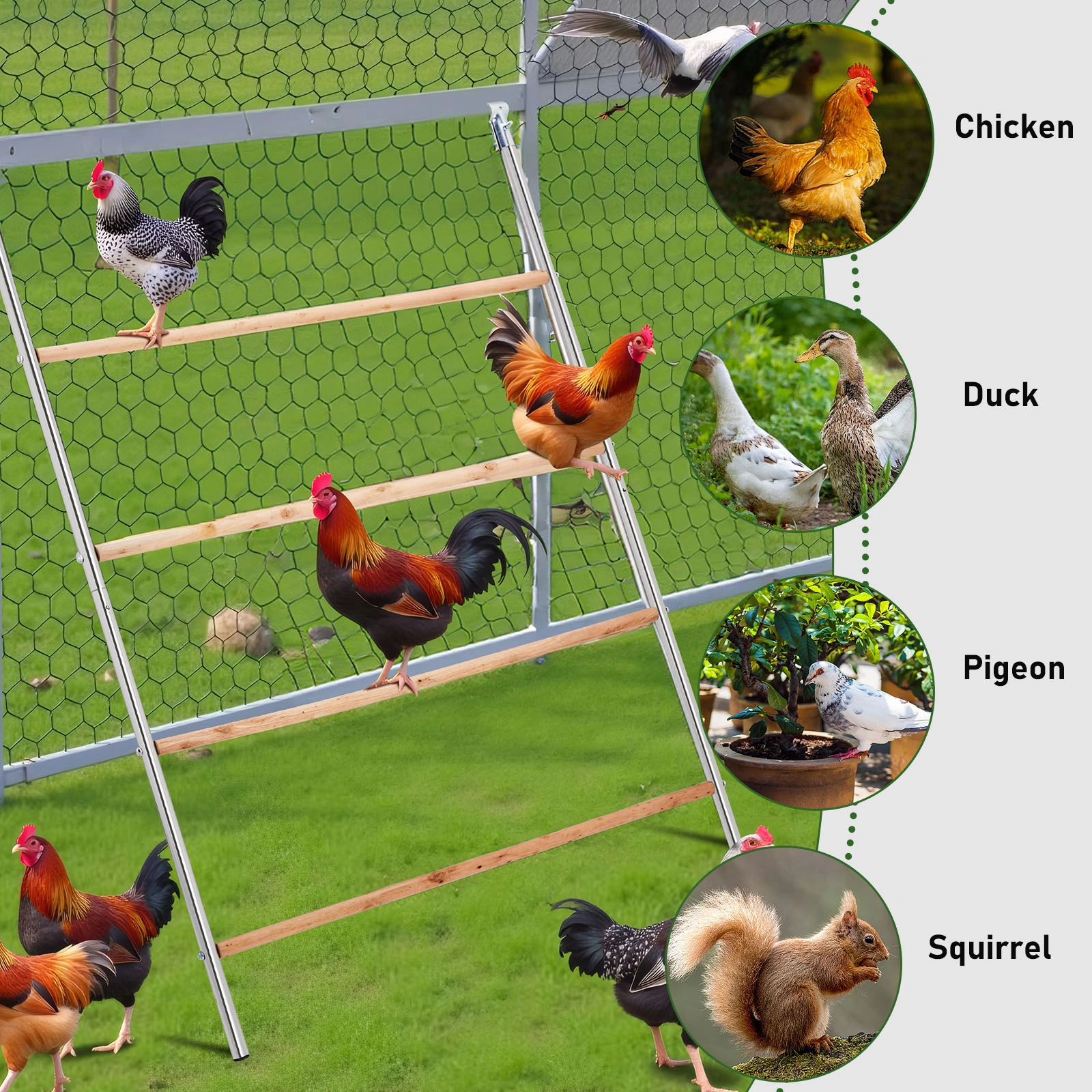 104x143cm Outdoor Chicken Perch Roost for Poultry Coops & Runs view 10