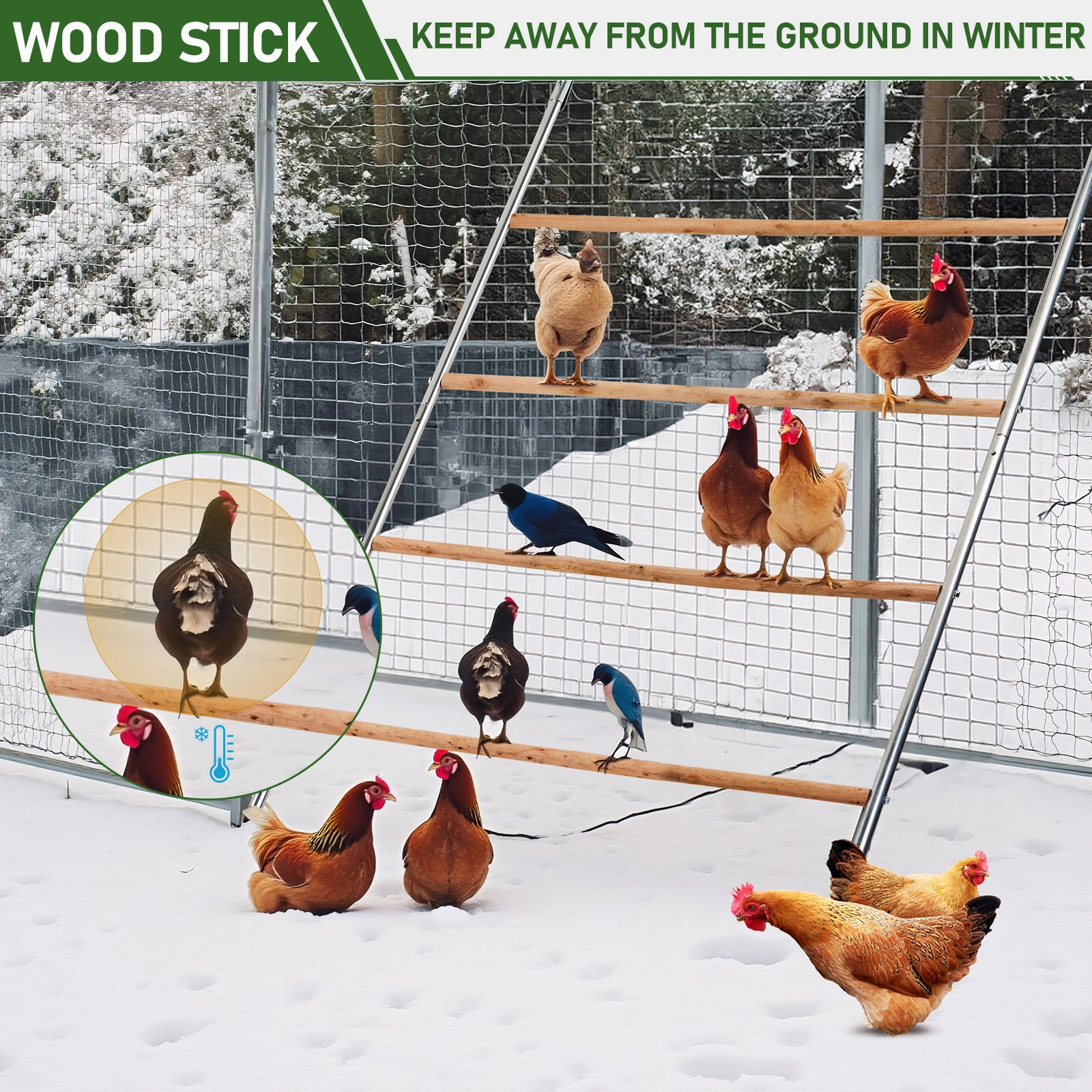 104x143cm Outdoor Chicken Perch Roost for Poultry Coops & Runs view 11