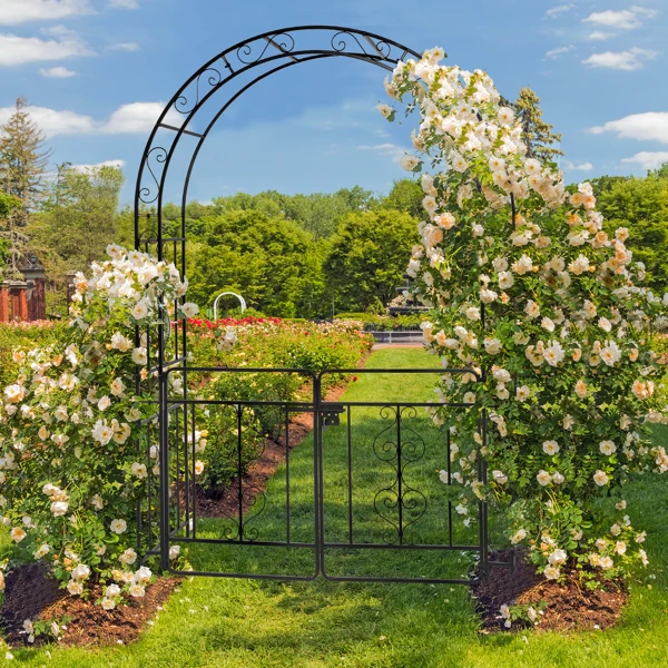 134.5*58.5*213cm Arc Roof Double Layer With Door Wrought Iron Iron Arch Courtyard Black view 3