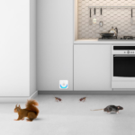 2026 Upgraded Ultrasonic Pest Repeller, Plug-in Insect Rodent Repellent with Dual Working Modes, 800-1200 Sq.ft Coverage, Safe for Human & Pets, for Mouse Roach Spider Mosquito Ant - Image 6