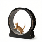 Wooden Cat Exercise Wheel - Image 4
