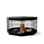 Dog House - Image 6