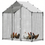 Chicken Coop - Image 4