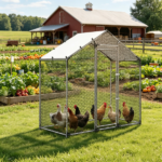 Chicken Coop - Image 8