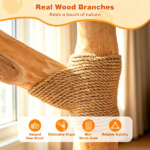 41 Inch Solid Pear Wood Cat Tree Tower Multi-Level Vertical Playground with Plush Top Perch Private Cat Condo Natural Jute Scratching Posts Dangling Toy Ball Washable Cushion for Multiple Cats Beige - Image 8