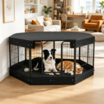 Dog House - Image 6