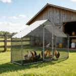 Chicken Coop - Image 7