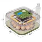 US Standard FYY-12 Egg Incubator, 110V, ≤35W, 12 Eggs Capacity, Square & Round Tray, Equipped with 1 Water Bottle, Grass Green Body with Transparent Top Cover, ABS & PET Material. Upgraded LED Egg Candling Function, Fully Automatic Egg Turning, Fahrenheit LCD Display for Temperature & Humidity, Day - Image 3