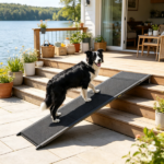 Dog Ramp - Image 4