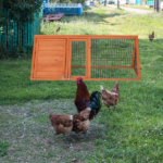 50" Wooden Rabbit Guinea Pig Hutch Wooden Rabbit Guinea Pig House - Image 10
