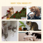 Cat Tree - Image 6