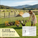 Chicken Coop - Image 4