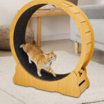 Cat Wheel Exerciser for Indoor Cats, 43.3-inch Large Cat Exercise Wheel for Running Silent, Cat Treadmill with Safety Lock for Cat's Fitness and Health, Natural Wood - Image 7