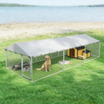 Dog Kennel Outdoor