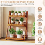 Acacia Wood 3-Tier Ladder Plant Stand, Foldable Indoor Outdoor Display Rack - Image 8