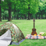 3-4 Person Camping Dome Tent Camouflage - Image 43
