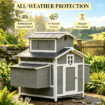 Chicken Coop - Image 3