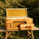 Bee Hive - Image 6