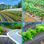 XISHAN 3'X300' Black HDPE 70 Gram Weed Barrier Fabric - Image 11