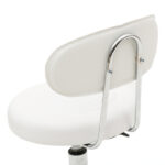 Round Shape Adjustable Salon Stool with Back and Line White - Image 6