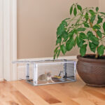Stainless Steel Rodent Trap - High Sensitivity Pedal Auto-Locks Door, Humane Live Capture - Safe, Durable, Indoor/Outdoor Versatile Placement, Easy to Use - Image 9
