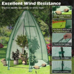 Hexagonal Mini Greenhouse with Zipper Door & Roll-Up Window, PE Cover Outdoor Plant House - Image 11