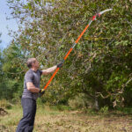 26ft Manual Pole Saw, Lightweight Tree Trimmers Long Handle Pruner Set, Sharp Steel Blade and Scissors Pole Saw for Trimming Palm, Pear Tree, Fir Tree, Other High Trees and Shrubs - Image 12