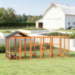 Chicken Coop