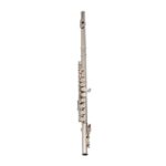 Nickel Plated C Closed Hole Concert Band Flute Silver - Image 13