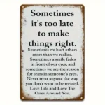 CIFbuy Sarcastic Retro Metal Sign Sometimes It's Too Late To Correct Rustic Wall Decor For Home Porch Garage Cafe Bar Garden (TikTok, temu pick-up service) - Image 3