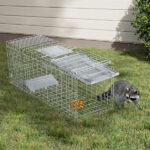 32" Live Animal Cage Trap, Heavy Duty Folding Raccoon Trap, Humane Cat Trap with Handle, Silver - Image 4