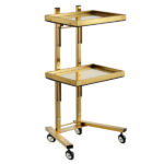 Gold 2 Tier Beauty Salon SPA Rolling Cart w/Double Storage Tray Stainless Steel