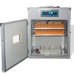56H 56-Egg Incubator 110V 85W, Fully Automatic Turner, Upgraded LED Candler, Auto Temp & Humidity Control (Fahrenheit Display), ABS+PET Orange-White Body Clear Lid, Multi-Function Strip Egg Tray (US Plug) - Image 14