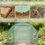 Greenhouse - Image 7