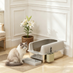 Cat Litter Box