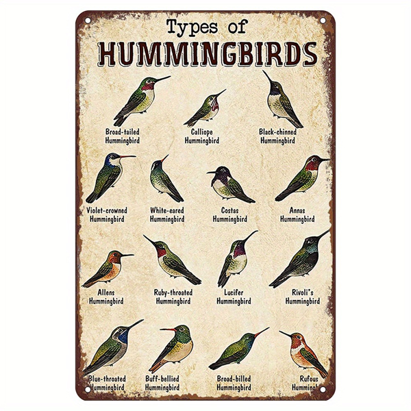 CIFbuy 2D Flat Vintage Hummingbird Plaque Rural Colored Bird Iron Wall Decor With Hanging Design For Bar Room Nautical Style Durable Metal Sign (TikTok, temu pick-up service)