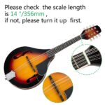 A Style Elegant Mandolin with Guard Board Sunset - Image 18