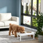 Elevated Dog Bowls
