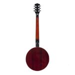 Top Grade Exquisite Professional Sapelli Notopleura Wood Alloy 6-string Banjo - Image 6