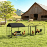 Chicken Coop - Image 7