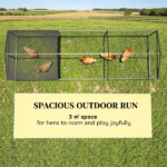 Chicken Coop - Image 8