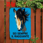 CIFbuy Vintage Galloping Horse Metal Sign, SEI SEMPRE IL" RAGGIANTE Italian Phrase Waterproof Rustproof Wall Art, Waterproof Rustproof Wall Art, 7.87*11.81 Inch Retro SEMPRikTok, SEMPRikTok, t Self-pickup Logiopics - Image 6