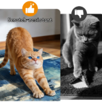 Washable kitchen floor mat set (3 pieces), non-slip long strip floor mat set, kitchen long strip floor mat, hallway/laundry room decorative carpet. - Image 9