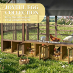 Chicken Coop - Image 4