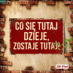 CIFbuy 1pc Vintage Polish Slogan Metal Sign 7.87x11.81 Inch, What Happens Here Stays Here Humorous Quote Iron Wall Art, Iron Wall Art, Retro Funny Hom MeikTok, MeikTok, umorous Quote Iron Wall Art Self-chckup LogiopHomys Here - Image 8