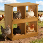 Nesting Boxes for Chickens, Wooden Chicken Nesting Box, Laying Eggs Nest Box for Chickens Hens Ducks, Yellow, 4 Compartments - Image 6
